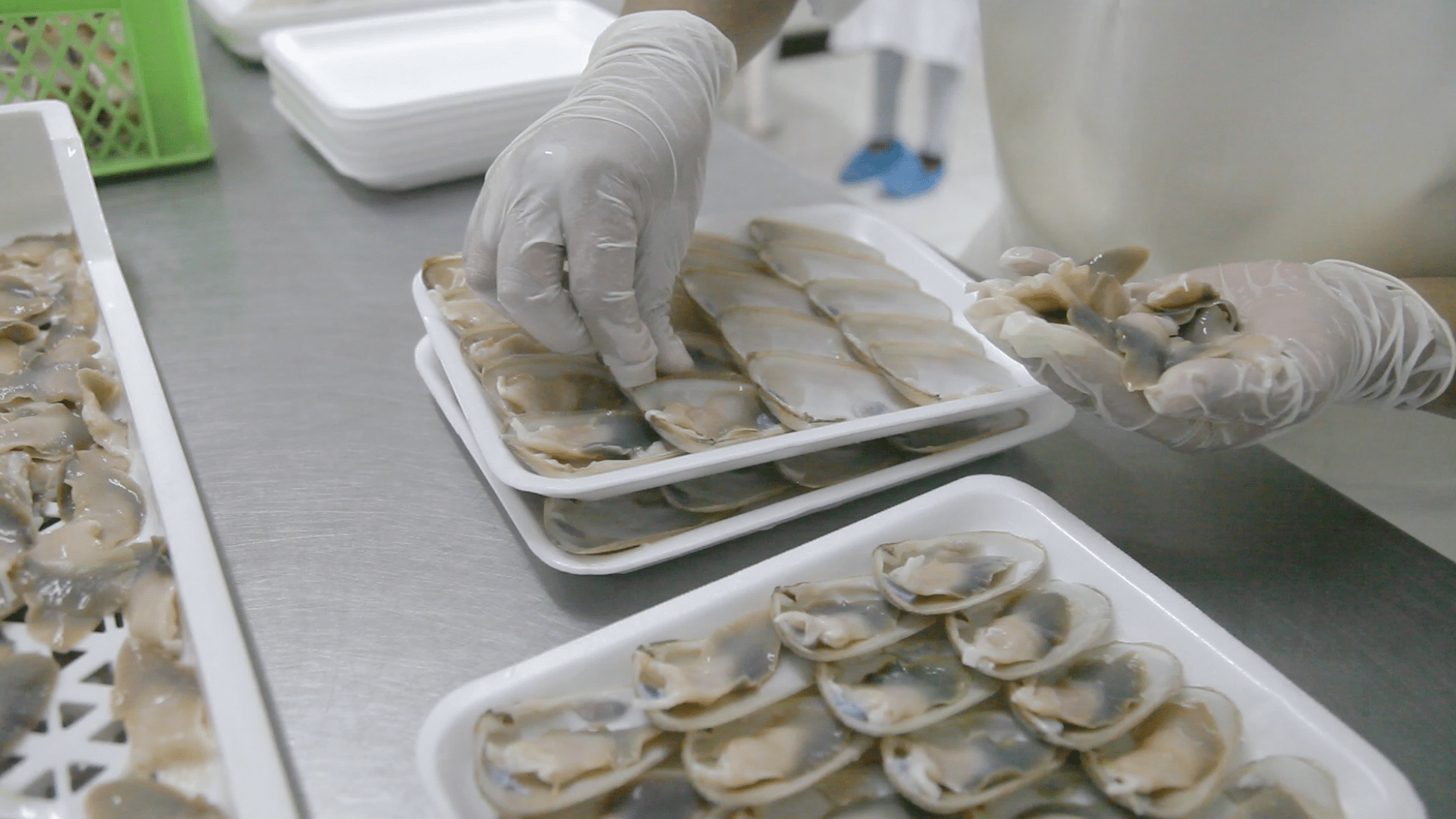 «Caleta Sabor»: la nueva apuesta de Másmar por aumentar el consumo de productos del mar.