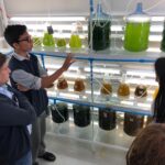 Proyecto de innovación social en Tongoy apoyado por Corfo gana premio a la Innovación Inclusiva en Best Microalgae Awards 2020