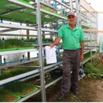 Valoran iniciativa municipal de sistemas de forraje hidropónico en Ovalle