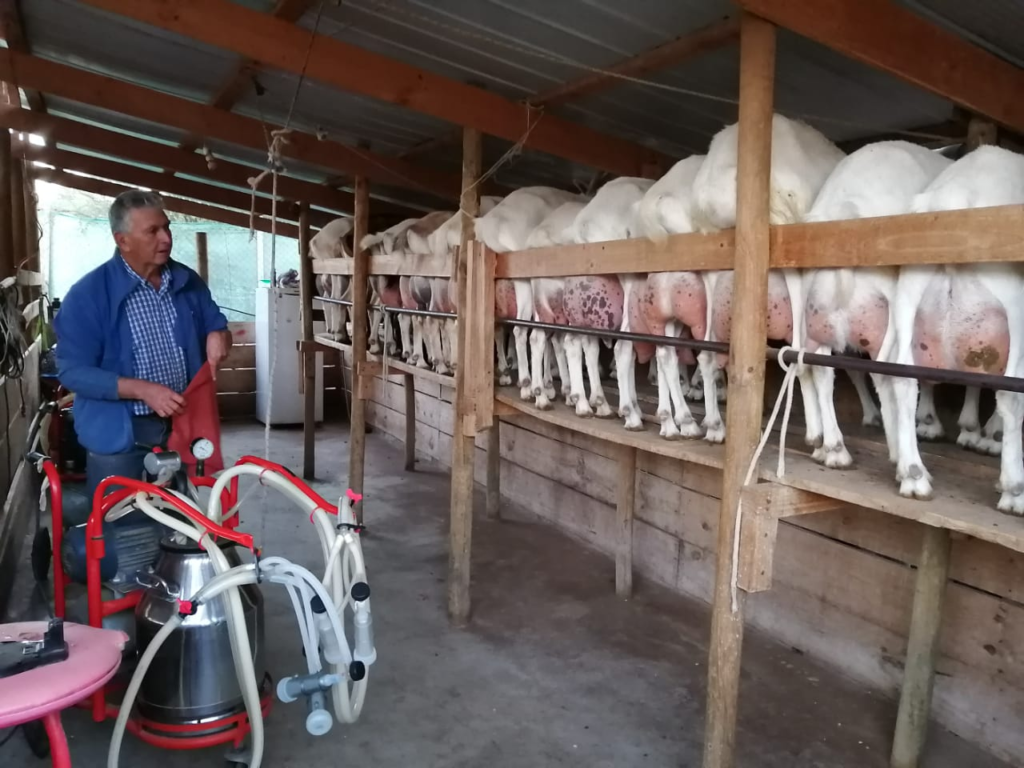 PTI Caprino invita a participar al seminario sobre calidad de la leche de cabra en la industria del queso