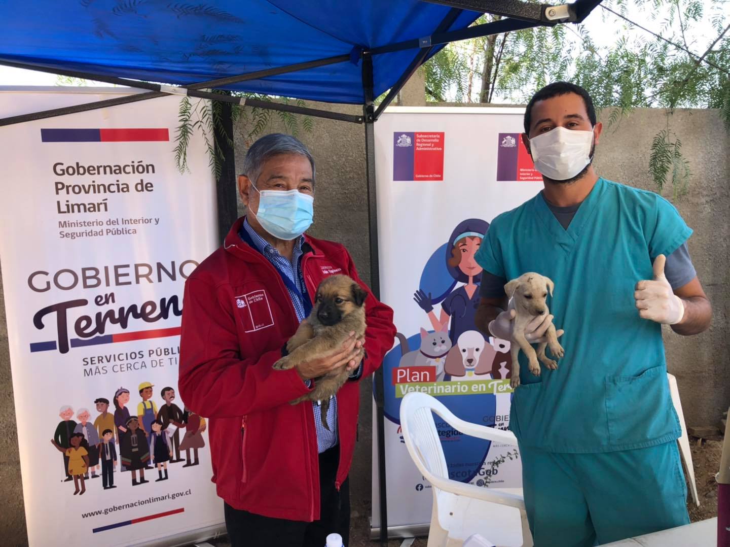 Programa Veterinario en Terreno ha realizado más de 460 intervenciones integrales en la provincia de Limarí