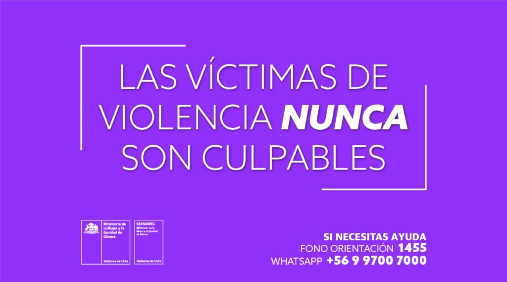 Mujeres de Limarí se capacitan en primeros auxilios psicológicos para atender víctimas de violencia