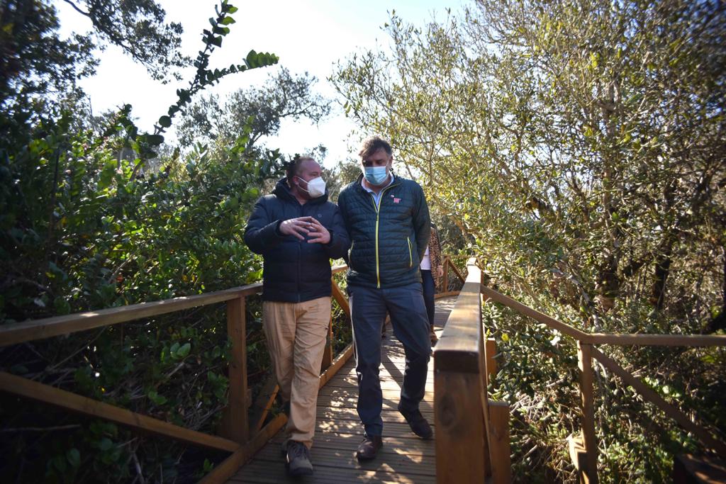 Parque Nacional Bosque Fray Jorge recibe recertificación como Reserva Starlight