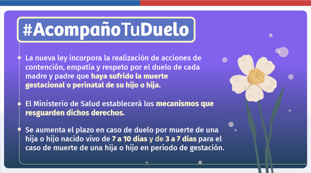 Promulgan Ley Dominga para entregar dignidad y acompañamiento a familias que sufren duelo gestacional