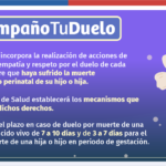 Promulgan Ley Dominga para entregar dignidad y acompañamiento a familias que sufren duelo gestacional