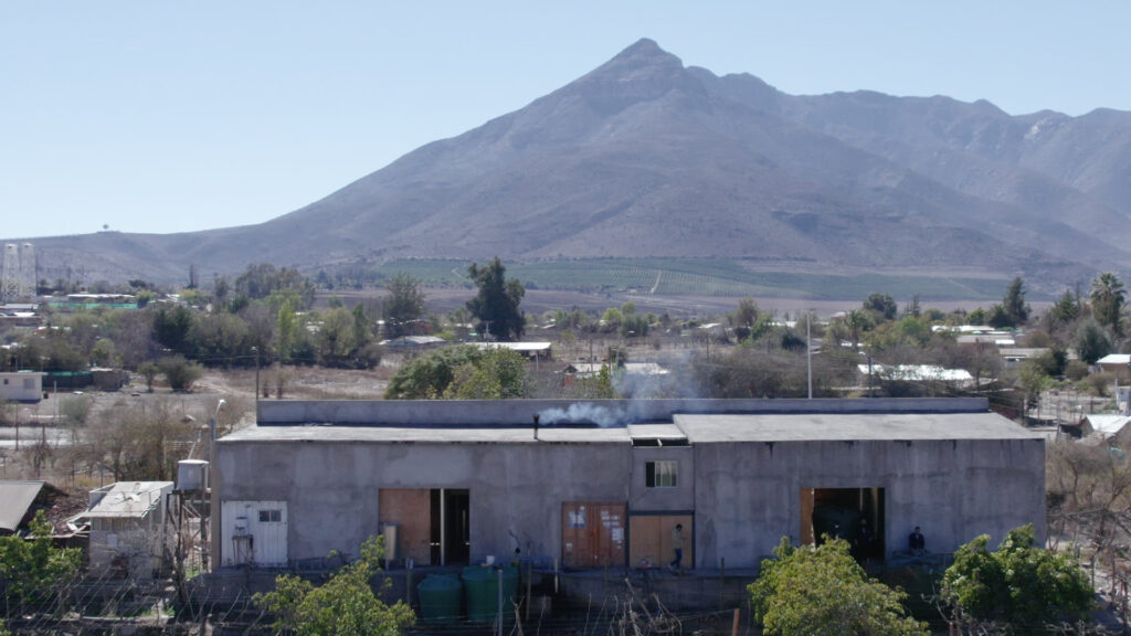 Pisquera “Mis Abuelos” de Monte Patria se prepara para debutar con apoyo de Corfo – Zonas Rezagadas