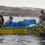 Federación de Pescadores de Coquimbo y Atacama apunta a robustecer la actividad acuícola