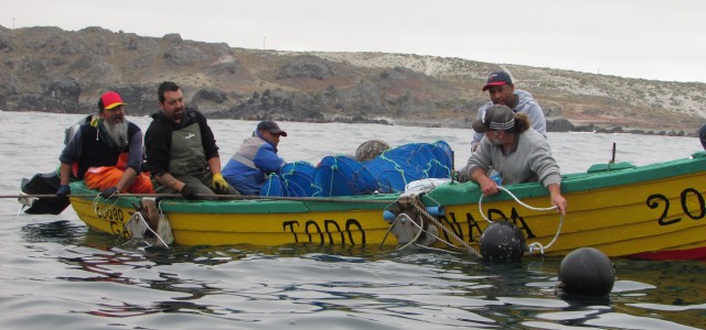 Federación de Pescadores de Coquimbo y Atacama apunta a robustecer la actividad acuícola