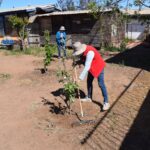 Huertos Comunitarios: Un aporte en la salud mental de los ovallinos