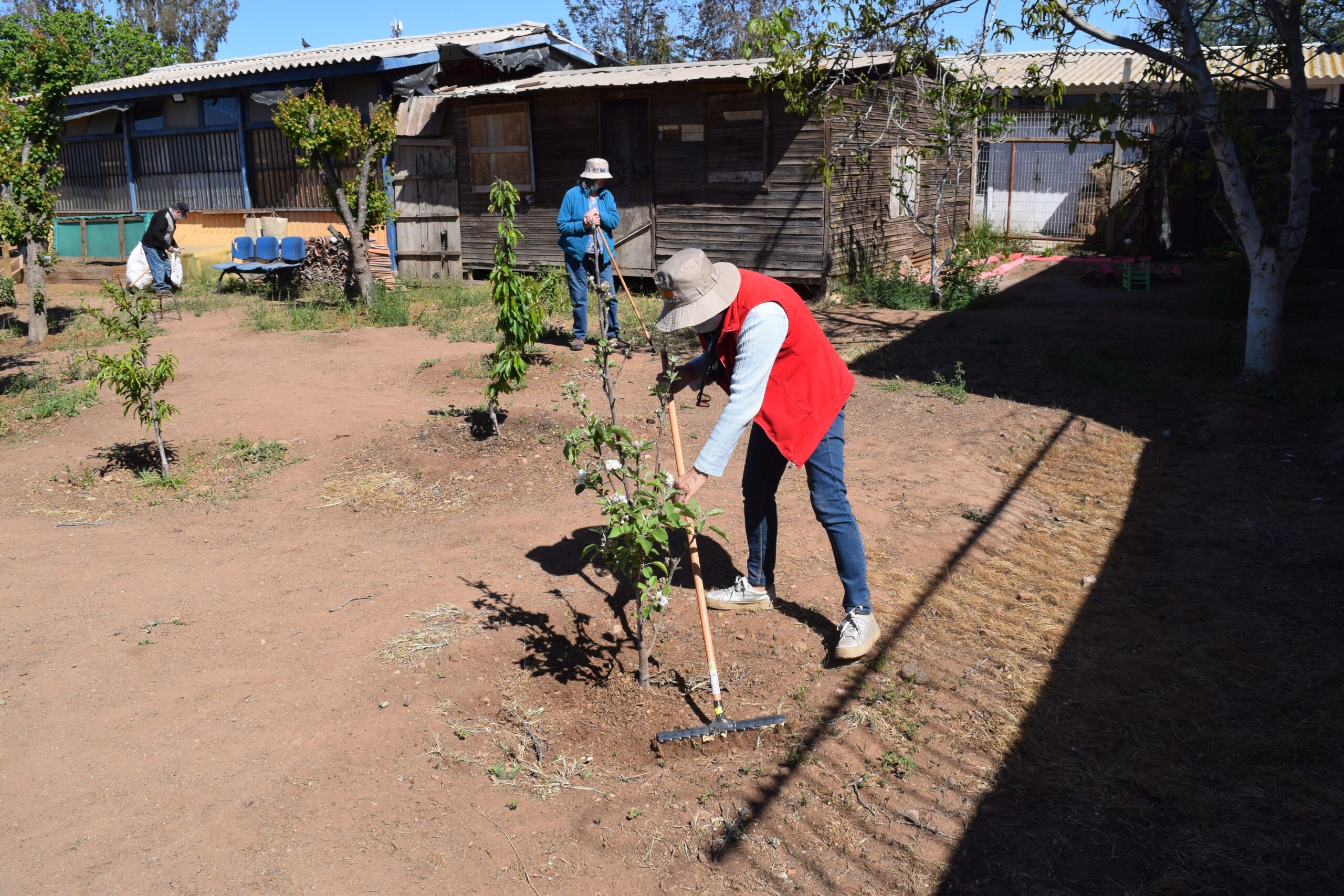 Huertos Comunitarios: Un aporte en la salud mental de los ovallinos