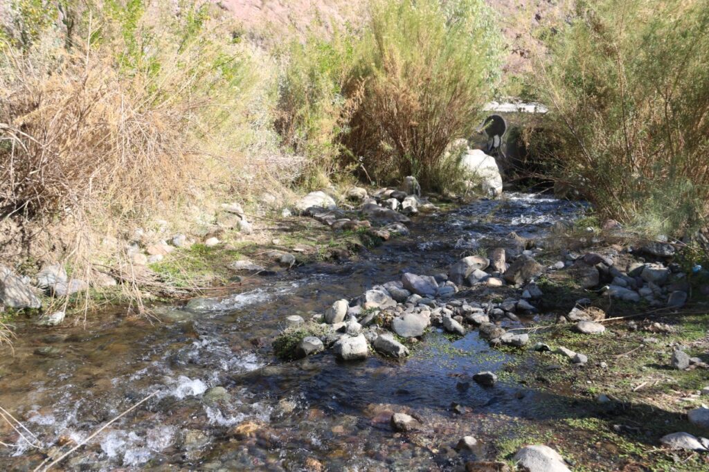 Delegado Provincial de Choapa entabló denuncia por presunto hurto de un millón de m³ de agua