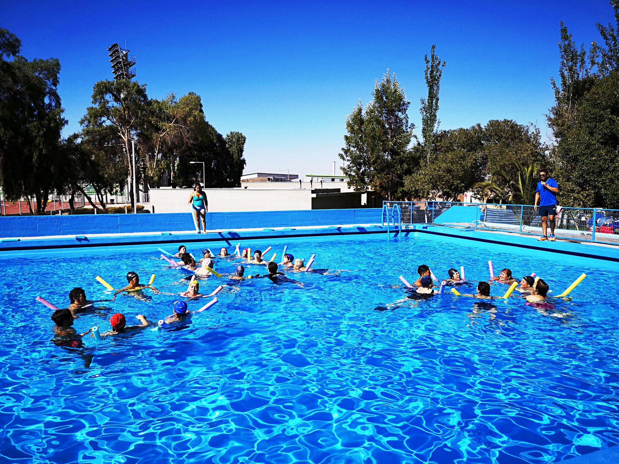 El próximo 3 de enero se inician las inscripciones para cursos de natación en Ovalle