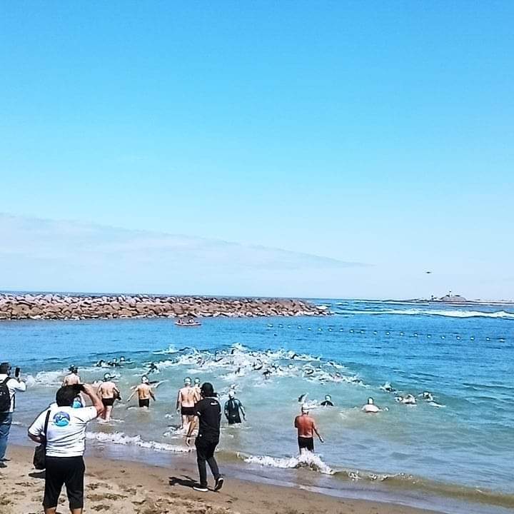 Mujeres de Taller de Aguas Abiertas brillan en Torneo Máster «Sin Fronteras»  de Arica