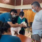 Invitan a operativos de Bienestar Animal en Ovalle