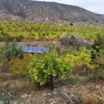 AGROSEGUROS LLAMA A AGRICULTORES DE COQUIMBO A CONTRATAR OPORTUNAMENTE LOS SEGUROS PARA EL AGRO