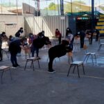 Municipio de Ovalle refuerza programa para prevenir violencia escolar