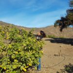 “Hemos aprendido la importancia de la reutilización de los recursos especialmente del agua”