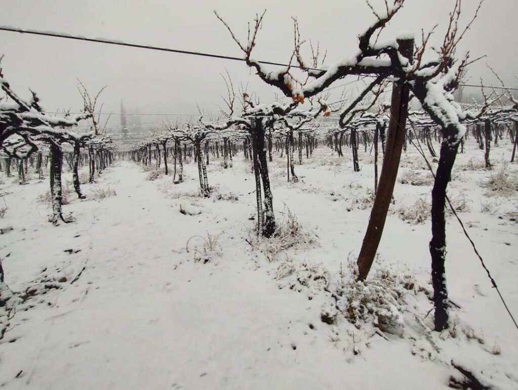 Choapa soportó de buena forma sistema frontal que dejo lluvia y nieve