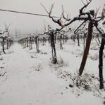 Choapa soportó de buena forma sistema frontal que dejo lluvia y nieve