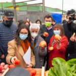 Ministerio de Desarrollo Social y Familia creará 70 microbancos de alimentos en 16 regiones del país