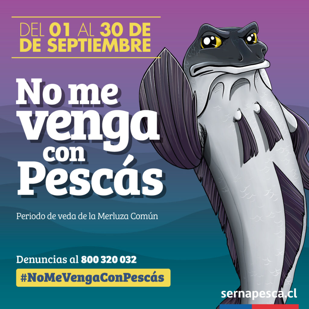 “No me venga con pescás” se denomina campaña de SERNAPESCA que invita respetar la veda de la merluza durante septiembre