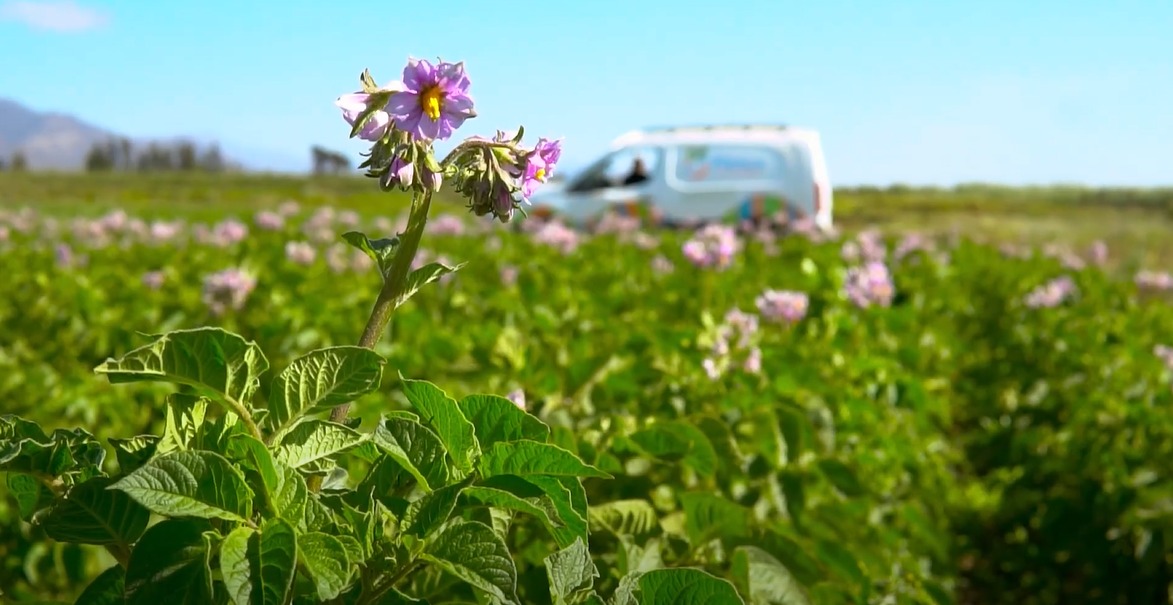 Finnca, la plataforma que lleva frutas y verduras frescas del campo al hogar a precio justo